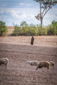 Marrokanischer Bauer zwischen Casablanca und Marrakesch - Foto: Alexander Baumbach